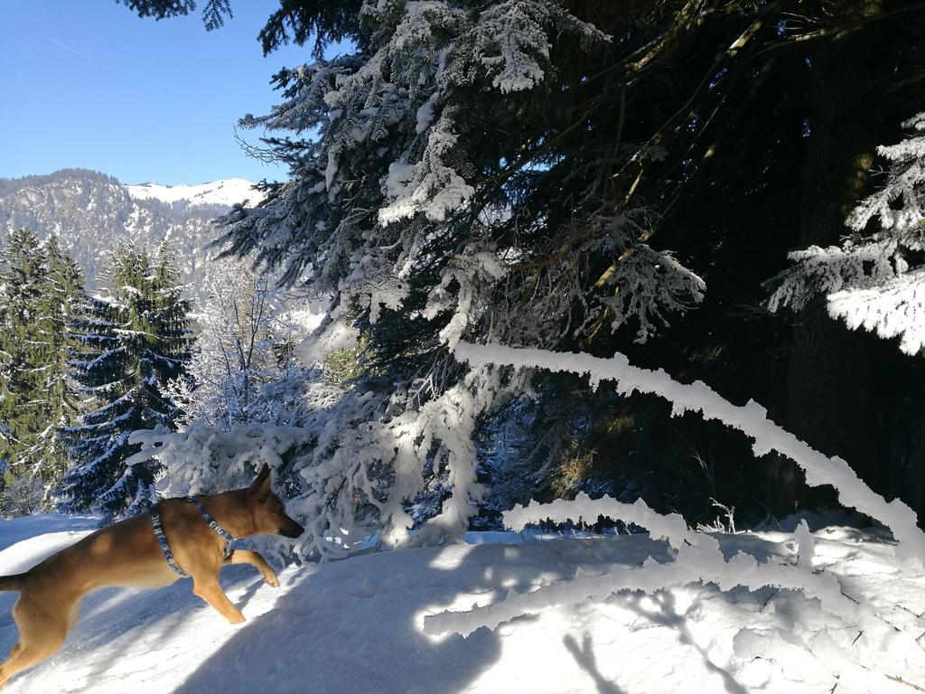 Chalet Glockenhof ヴァルヒゼー エクステリア 写真